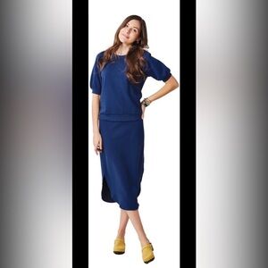 Carve Designs Deep Blue Pencil Skirt
